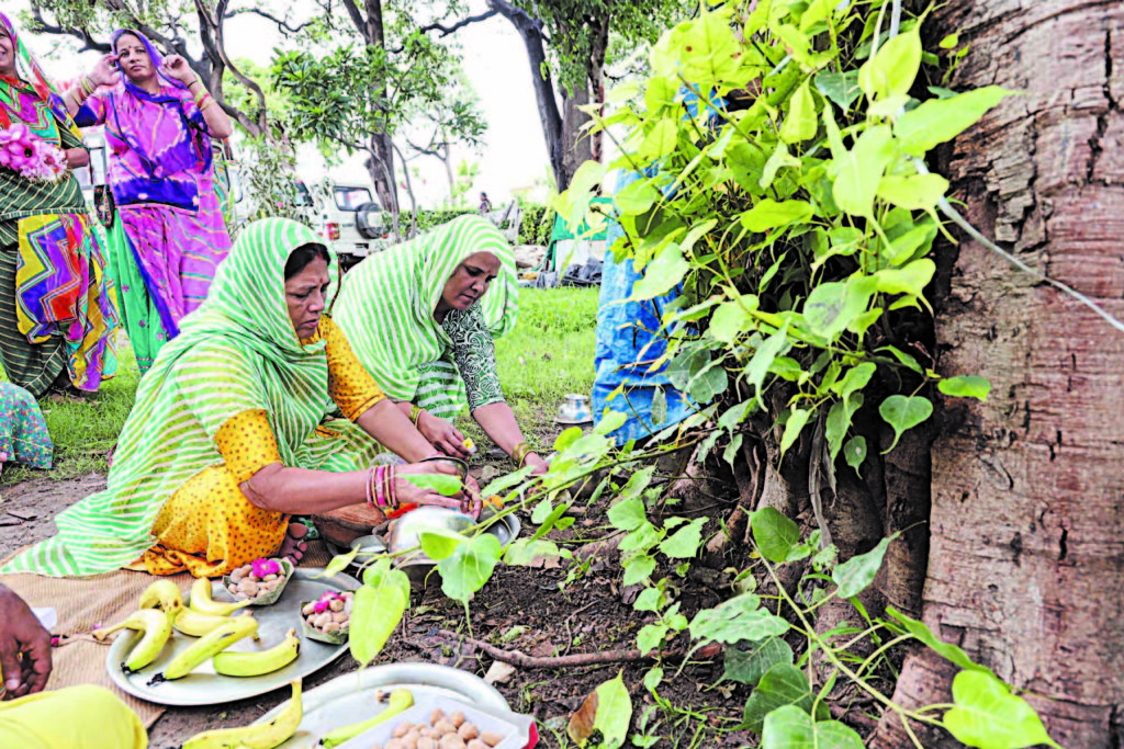 Hariyali Amavasya in Mewar